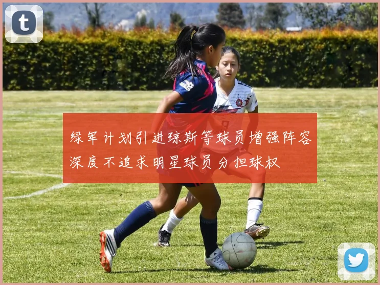 绿军计划引进琼斯等球员增强阵容深度不追求明星球员分担球权
