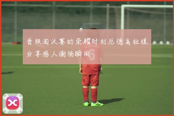 晋级淘汰赛的荣耀时刻厄德高社媒分享感人谢场瞬间