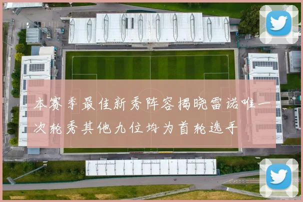 本赛季最佳新秀阵容揭晓雷诺唯一次轮秀其他九位均为首轮选手